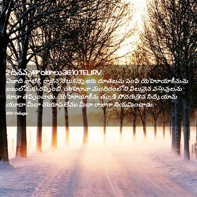 Picture 02 - 2 దినవృత్తాంతాలు 36:10 TELIRV - ఏడాది నాటికి, - Bible Verse Picture