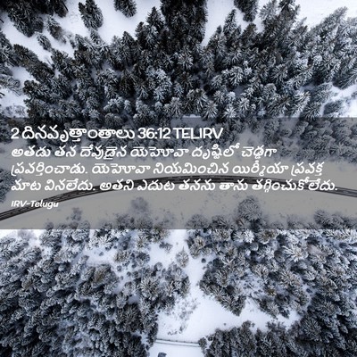 Picture 02 - 2 దినవృత్తాంతాలు 36:12 TELIRV - అతడు తన దేవుడైన - Bible Verse Picture