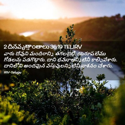 Picture 02 - 2 దినవృత్తాంతాలు 36:19 TELIRV - వారు దేవుని - Bible Verse Picture