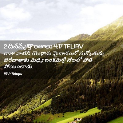 Picture 02 - 2 దినవృత్తాంతాలు 4:17 TELIRV - రాజు వాటిని - Bible Verse Picture
