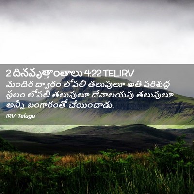 Picture 02 - 2 దినవృత్తాంతాలు 4:22 TELIRV - మందిర ద్వారం - Bible Verse Picture