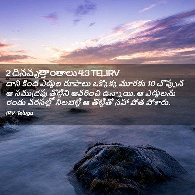 Picture 02 - 2 దినవృత్తాంతాలు 4:3 TELIRV - దాని కింద ఎద్దుల - Bible Verse Picture