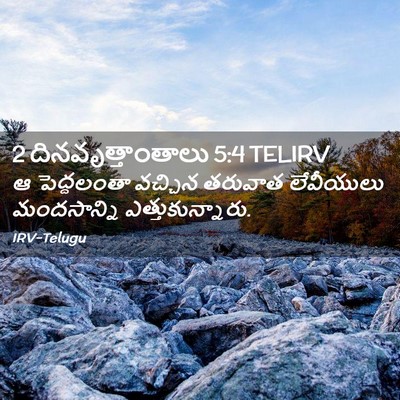 Picture 02 - 2 దినవృత్తాంతాలు 5:4 TELIRV - ఆ పెద్దలంతా - Bible Verse Picture