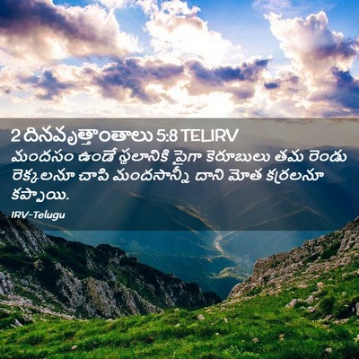 Picture 02 - 2 దినవృత్తాంతాలు 5:8 TELIRV - మందసం ఉండే - Bible Verse Picture
