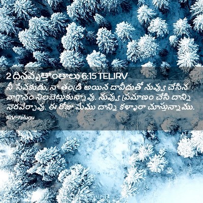Picture 02 - 2 దినవృత్తాంతాలు 6:15 TELIRV - నీ సేవకుడు, నా - Bible Verse Picture