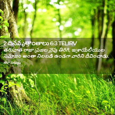 Picture 02 - 2 దినవృత్తాంతాలు 6:3 TELIRV - తరువాత రాజు ప్రజల - Bible Verse Picture
