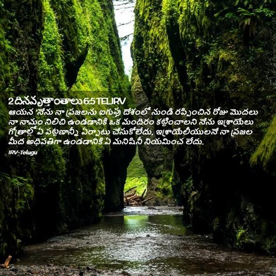 Picture 02 - 2 దినవృత్తాంతాలు 6:5 TELIRV - ఆయన ‘నేను నా - Bible Verse Picture