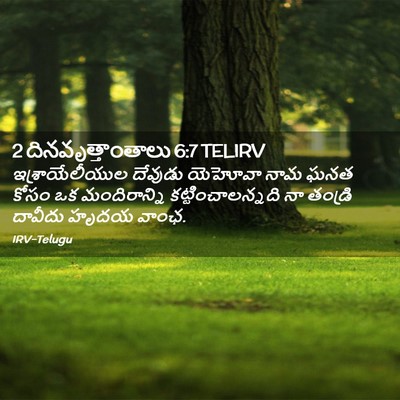 Picture 02 - 2 దినవృత్తాంతాలు 6:7 TELIRV - ఇశ్రాయేలీయుల - Bible Verse Picture