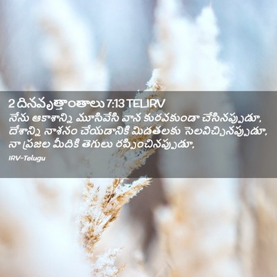 Picture 02 - 2 దినవృత్తాంతాలు 7:13 TELIRV - నేను ఆకాశాన్ని - Bible Verse Picture
