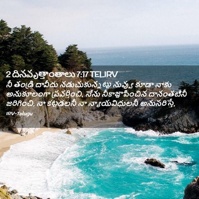 Picture 02 - 2 దినవృత్తాంతాలు 7:17 TELIRV - నీ తండ్రి దావీదు - Bible Verse Picture