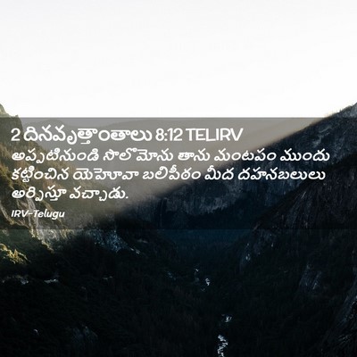 Picture 02 - 2 దినవృత్తాంతాలు 8:12 TELIRV - అప్పటినుండి - Bible Verse Picture