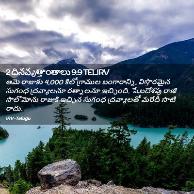 Picture 02 - 2 దినవృత్తాంతాలు 9:9 TELIRV - ఆమె రాజుకు 4,000 - Bible Verse Picture