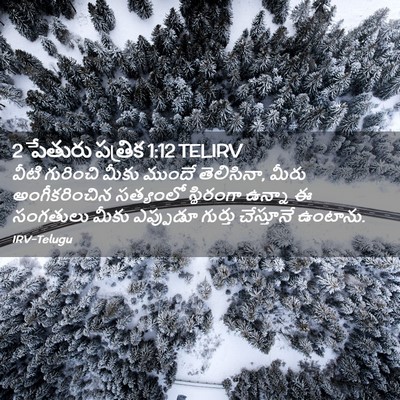 Picture 02 - 2 పేతురు పత్రిక 1:12 TELIRV - వీటి గురించి మీకు - Bible Verse Picture