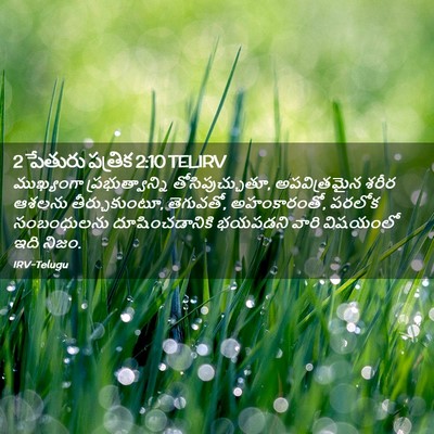 Picture 02 - 2 పేతురు పత్రిక 2:10 TELIRV - ముఖ్యంగా - Bible Verse Picture