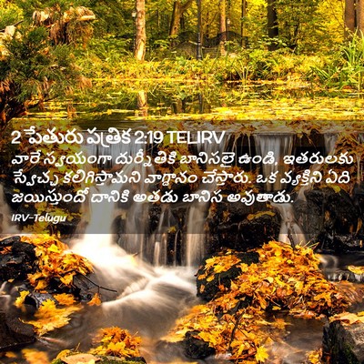 Picture 02 - 2 పేతురు పత్రిక 2:19 TELIRV - వారే స్వయంగా - Bible Verse Picture