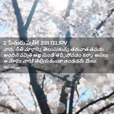 Picture 02 - 2 పేతురు పత్రిక 2:21 TELIRV - వారు, నీతి - Bible Verse Picture