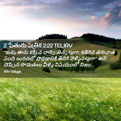 Picture 02 - 2 పేతురు పత్రిక 2:22 TELIRV - “కుక్క తాను - Bible Verse Picture
