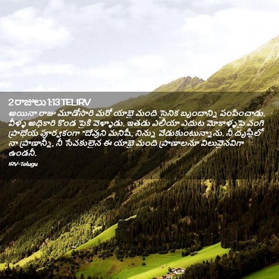 Picture 02 - 2 రాజులు 1:13 TELIRV - అయినా రాజు - Bible Verse Picture