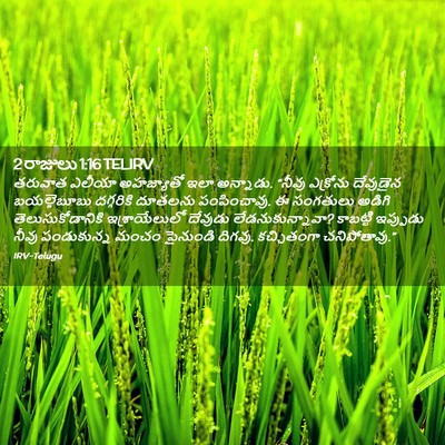 Picture 02 - 2 రాజులు 1:16 TELIRV - తరువాత ఎలీయా - Bible Verse Picture