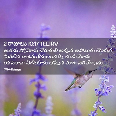 Picture 02 - 2 రాజులు 10:17 TELIRV - అతడు షోమ్రోను - Bible Verse Picture