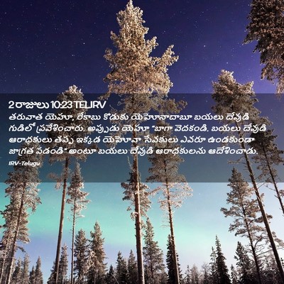 Picture 02 - 2 రాజులు 10:23 TELIRV - తరువాత యెహూ, - Bible Verse Picture