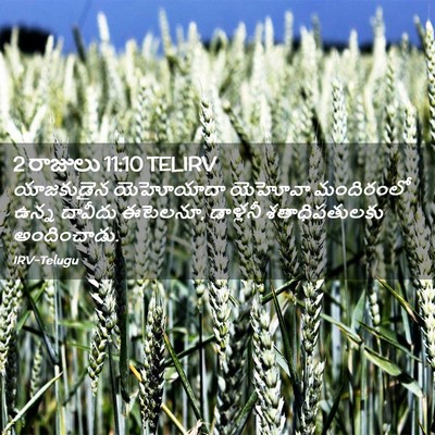 Picture 02 - 2 రాజులు 11:10 TELIRV - యాజకుడైన యెహోయాదా - Bible Verse Picture