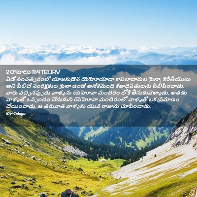 Picture 02 - 2 రాజులు 11:4 TELIRV - ఏడో సంవత్సరంలో - Bible Verse Picture