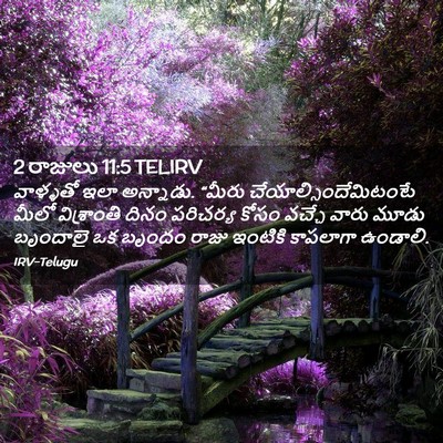 Picture 02 - 2 రాజులు 11:5 TELIRV - వాళ్ళతో ఇలా - Bible Verse Picture