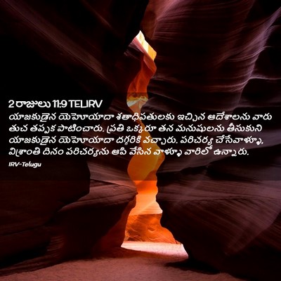 Picture 02 - 2 రాజులు 11:9 TELIRV - యాజకుడైన యెహోయాదా - Bible Verse Picture