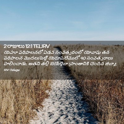 Picture 02 - 2 రాజులు 12:1 TELIRV - యెహూ పరిపాలనలో - Bible Verse Picture
