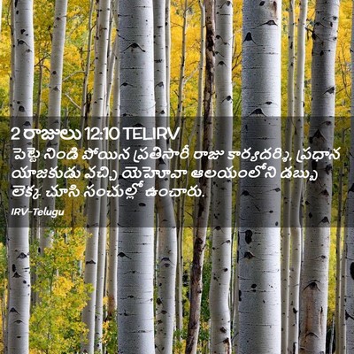 Picture 02 - 2 రాజులు 12:10 TELIRV - పెట్టె నిండి - Bible Verse Picture