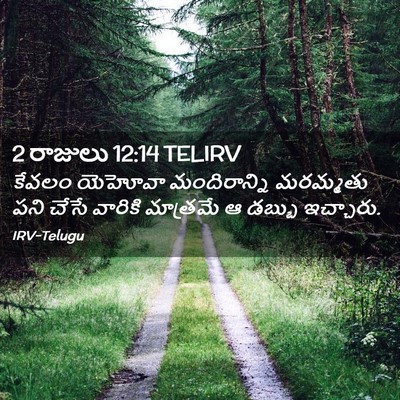 Picture 02 - 2 రాజులు 12:14 TELIRV - కేవలం యెహోవా - Bible Verse Picture