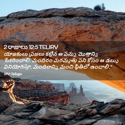 Picture 02 - 2 రాజులు 12:5 TELIRV - యాజకులు ప్రజలు - Bible Verse Picture