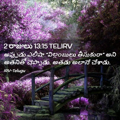Picture 02 - 2 రాజులు 13:15 TELIRV - అప్పుడు ఎలీషా - Bible Verse Picture