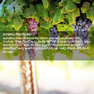 Picture 02 - 2 రాజులు 14:9 TELIRV - ఇశ్రాయేలు రాజు - Bible Verse Picture