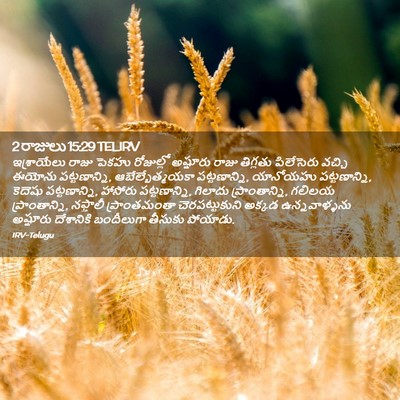 Picture 02 - 2 రాజులు 15:29 TELIRV - ఇశ్రాయేలు రాజు - Bible Verse Picture