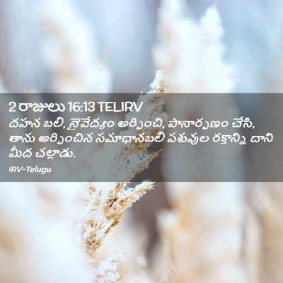 Picture 02 - 2 రాజులు 16:13 TELIRV - దహన బలి, నైవేద్యం - Bible Verse Picture