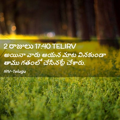 Picture 02 - 2 రాజులు 17:40 TELIRV - అయినా వారు ఆయన మాట - Bible Verse Picture