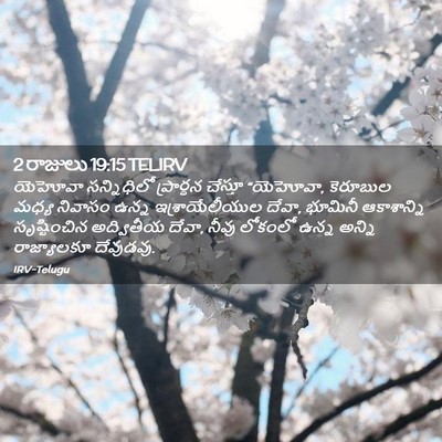 Picture 02 - 2 రాజులు 19:15 TELIRV - యెహోవా సన్నిధిలో - Bible Verse Picture