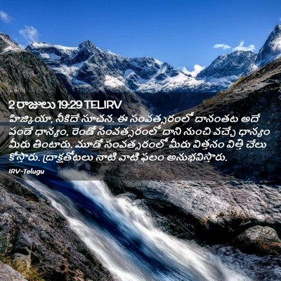 Picture 02 - 2 రాజులు 19:29 TELIRV - హిజ్కియా, నీకిదే - Bible Verse Picture
