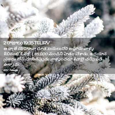 Picture 02 - 2 రాజులు 19:35 TELIRV - ఆ రాత్రే యెహోవా - Bible Verse Picture