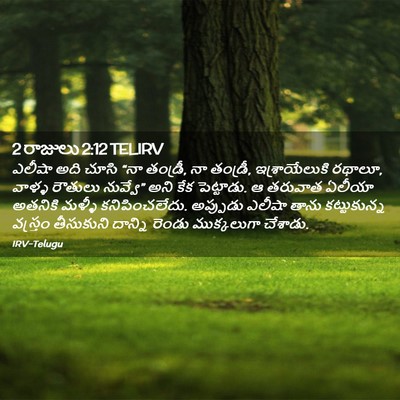 Picture 02 - 2 రాజులు 2:12 TELIRV - ఎలీషా అది చూసి “నా - Bible Verse Picture