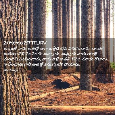 Picture 02 - 2 రాజులు 2:17 TELIRV - అయితే వారు అతణ్ణి - Bible Verse Picture