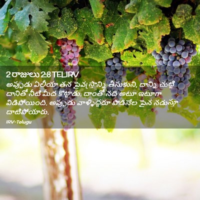 Picture 02 - 2 రాజులు 2:8 TELIRV - అప్పుడు ఏలీయా తన - Bible Verse Picture
