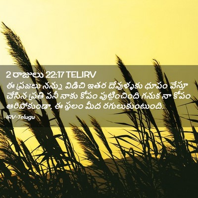 Picture 02 - 2 రాజులు 22:17 TELIRV - ఈ ప్రజలు నన్ను - Bible Verse Picture