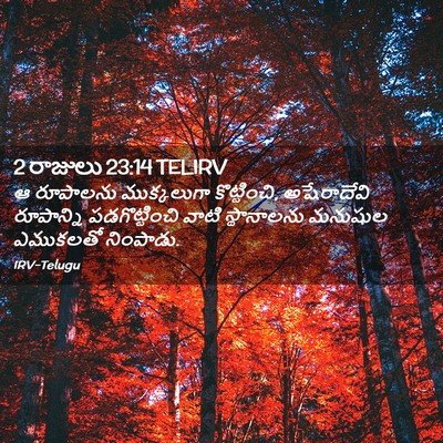 Picture 02 - 2 రాజులు 23:14 TELIRV - ఆ రూపాలను - Bible Verse Picture