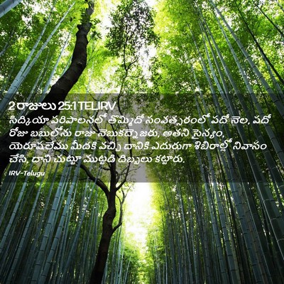Picture 02 - 2 రాజులు 25:1 TELIRV - సిద్కియా - Bible Verse Picture