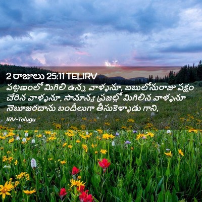 Picture 02 - 2 రాజులు 25:11 TELIRV - పట్టణంలో మిగిలి - Bible Verse Picture