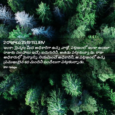 Picture 02 - 2 రాజులు 25:19 TELIRV - ఇంకా, సైన్యం మీద - Bible Verse Picture