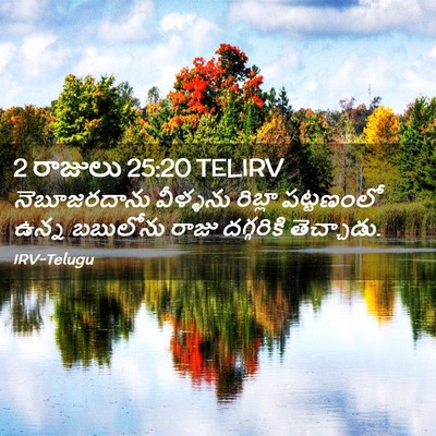 Picture 02 - 2 రాజులు 25:20 TELIRV - నెబూజరదాను - Bible Verse Picture